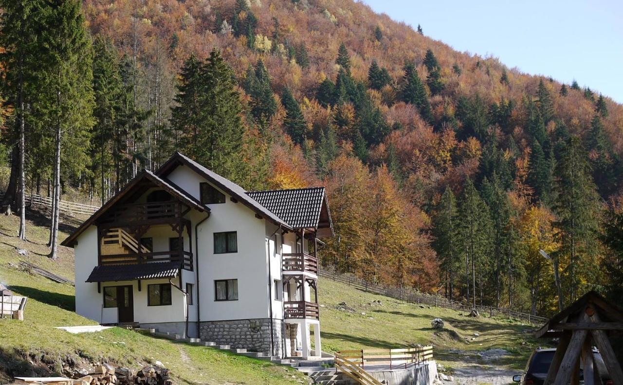 Cabana Caprioara - Piatra Craiului Dâmbovicioara Exterior photo