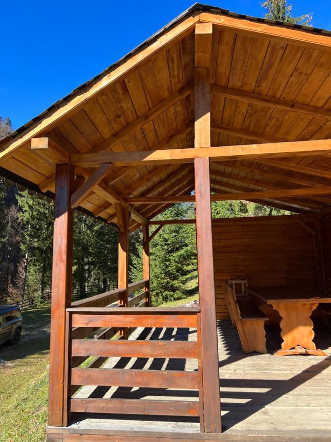 Cabana Caprioara - Piatra Craiului Dâmbovicioara Exterior photo