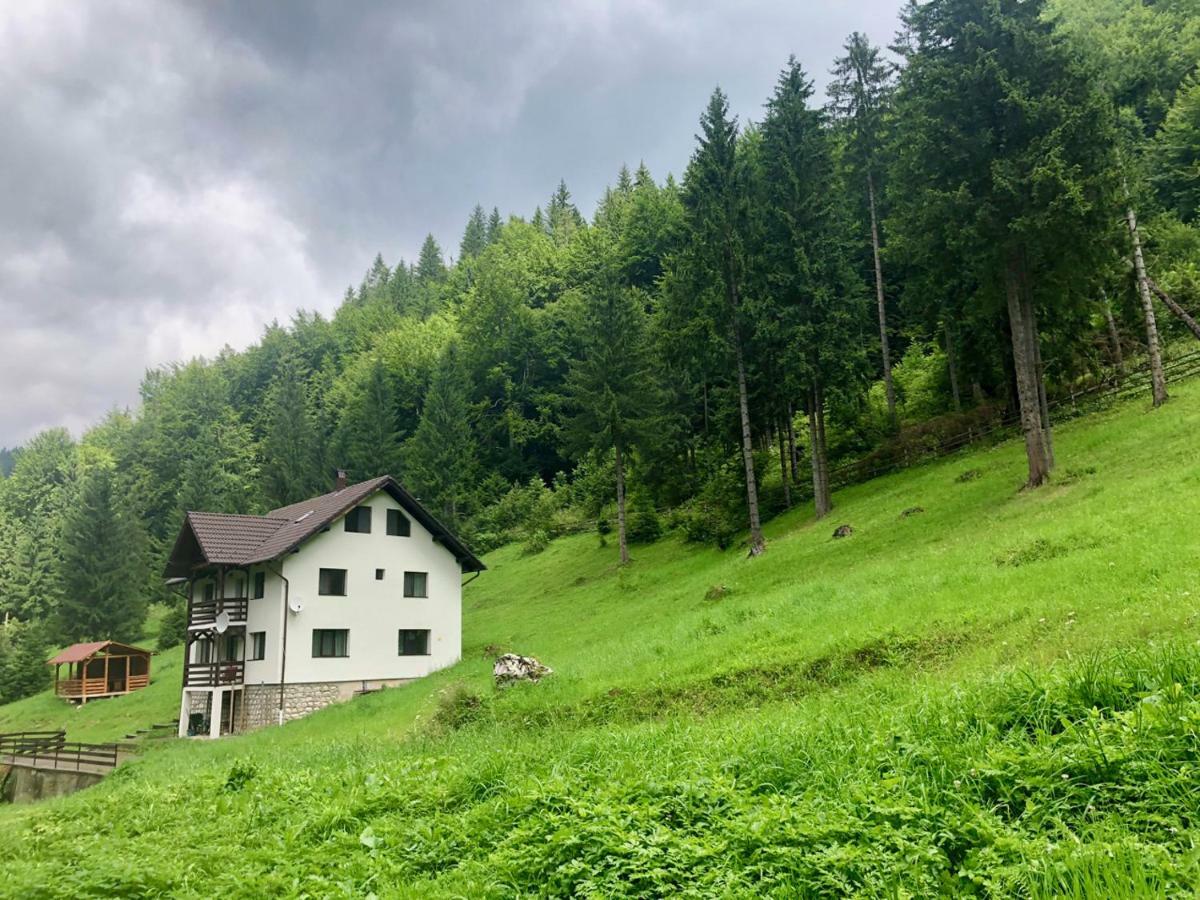 Cabana Caprioara - Piatra Craiului Dâmbovicioara Exterior photo