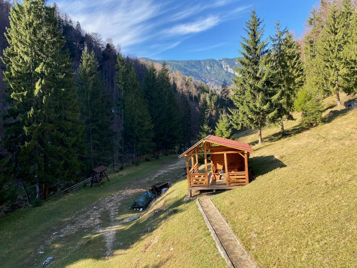 Cabana Caprioara - Piatra Craiului Dâmbovicioara Exterior photo