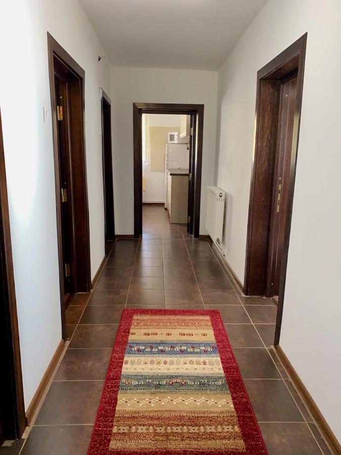 Cabana Caprioara - Piatra Craiului Dâmbovicioara Exterior photo